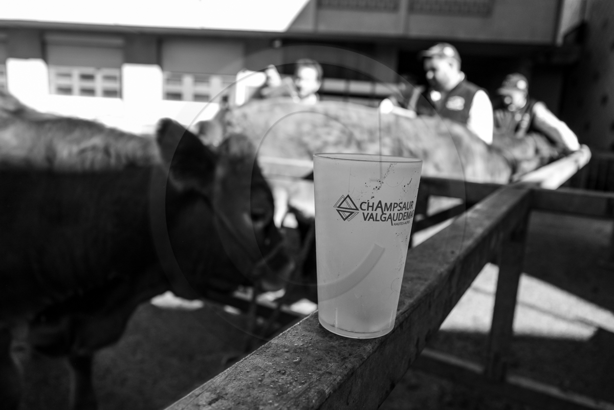 Rencontres paysannes à Saint-Bonnet en Champsaur