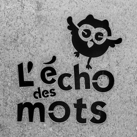 Festival l'Echo des mots