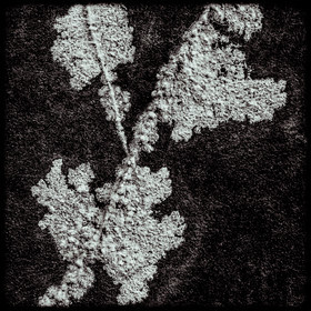 Centrale hydroélectrique du Beynon