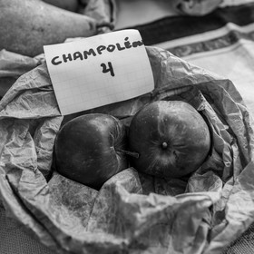 01 novembre 2023 : Des pommes et des soupes