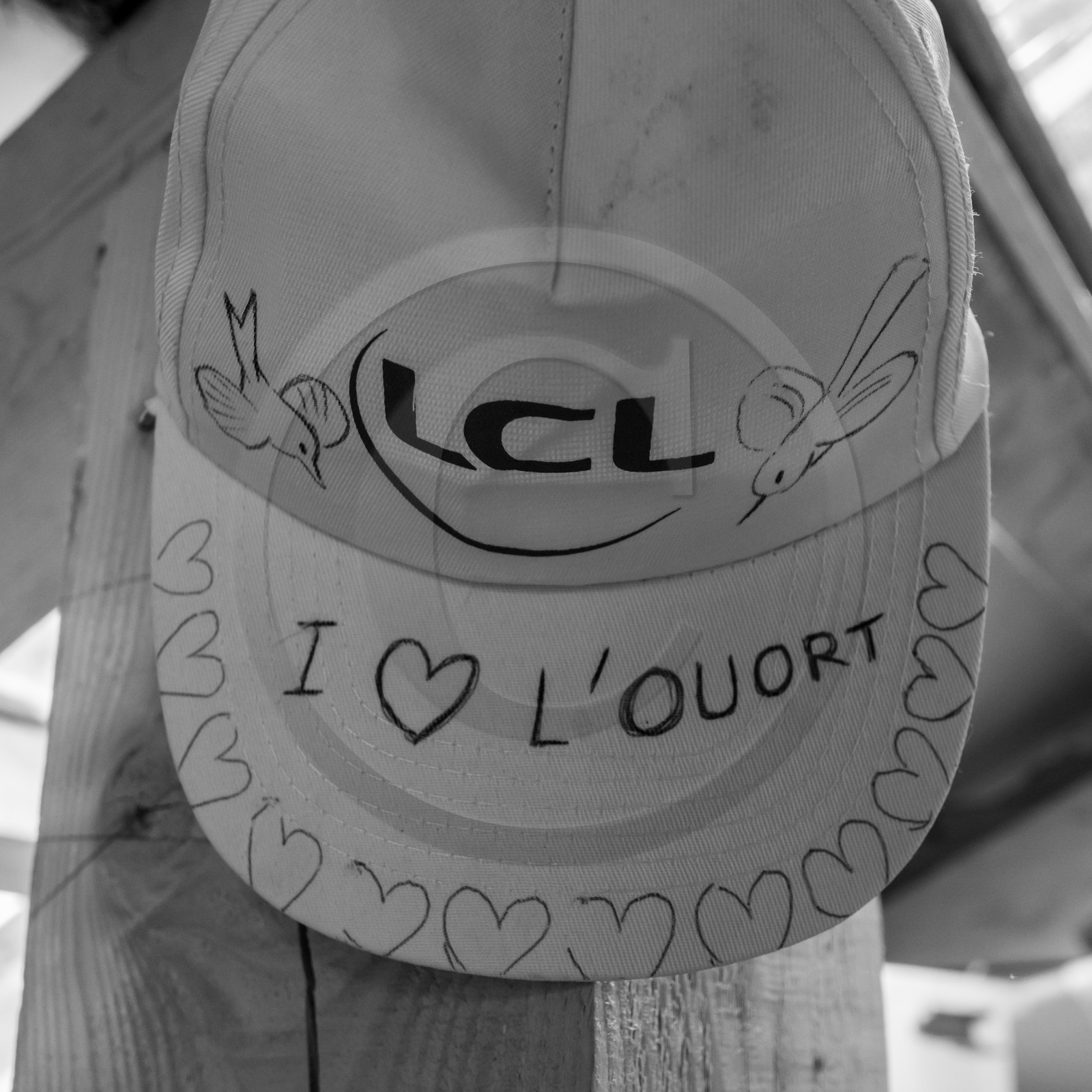 Semis, tournesols et jeux