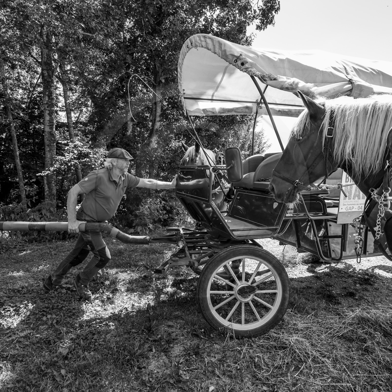 01 septembre 2021 : Promenade en cariole et contes
