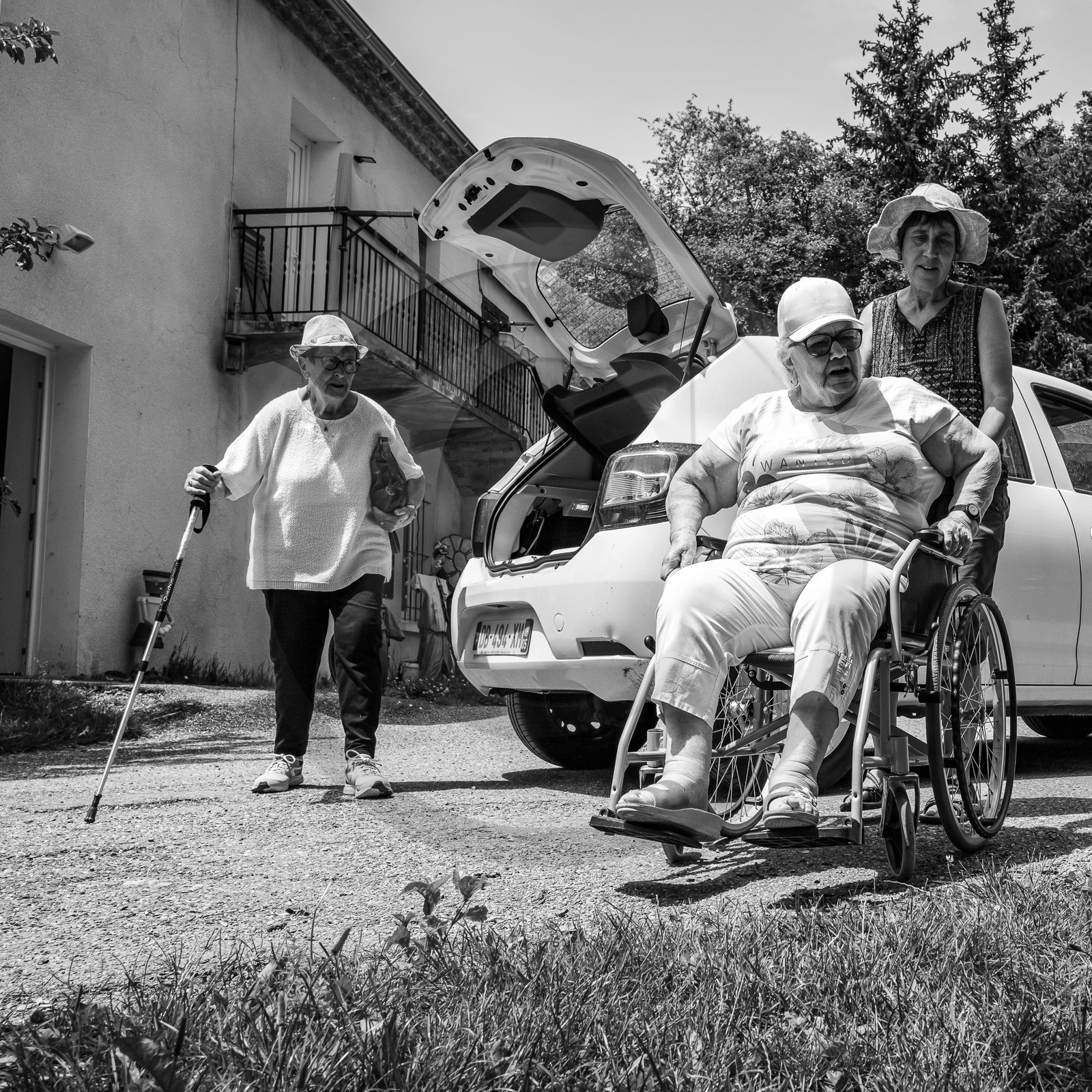 21 juin 2023 : Découverte botanique