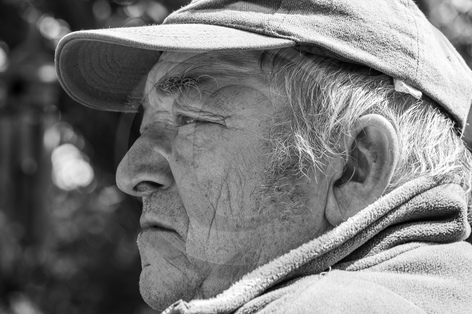 30 août 2023 : Lectures au jardin