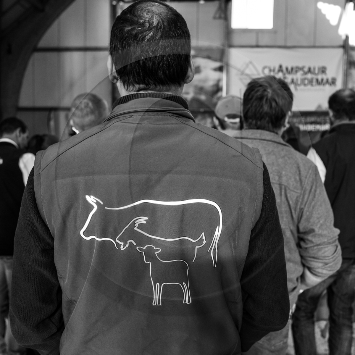 Rencontres paysannes à Saint-Bonnet en Champsaur