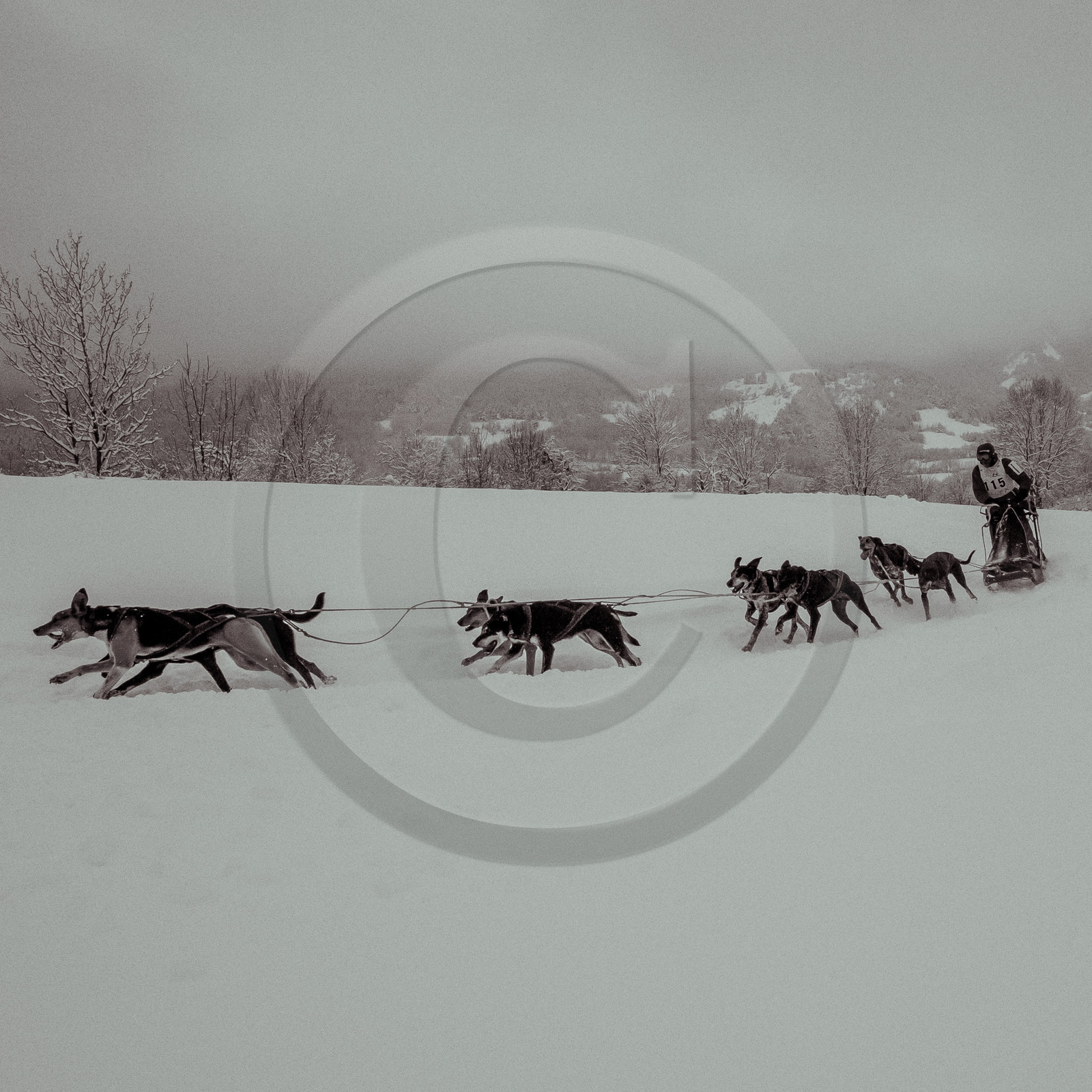 La Valgaude Traineau 2015