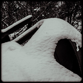 Un cimetière de voitures