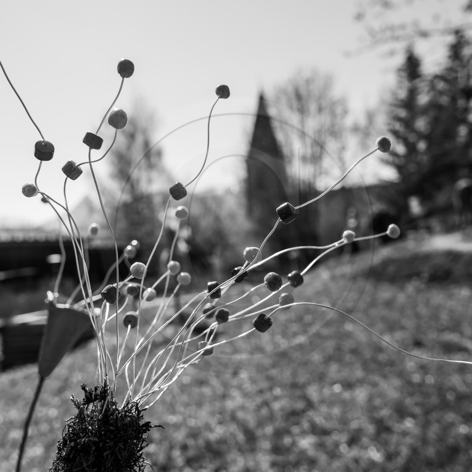 20 mars 2018 : une après-midi au jardin