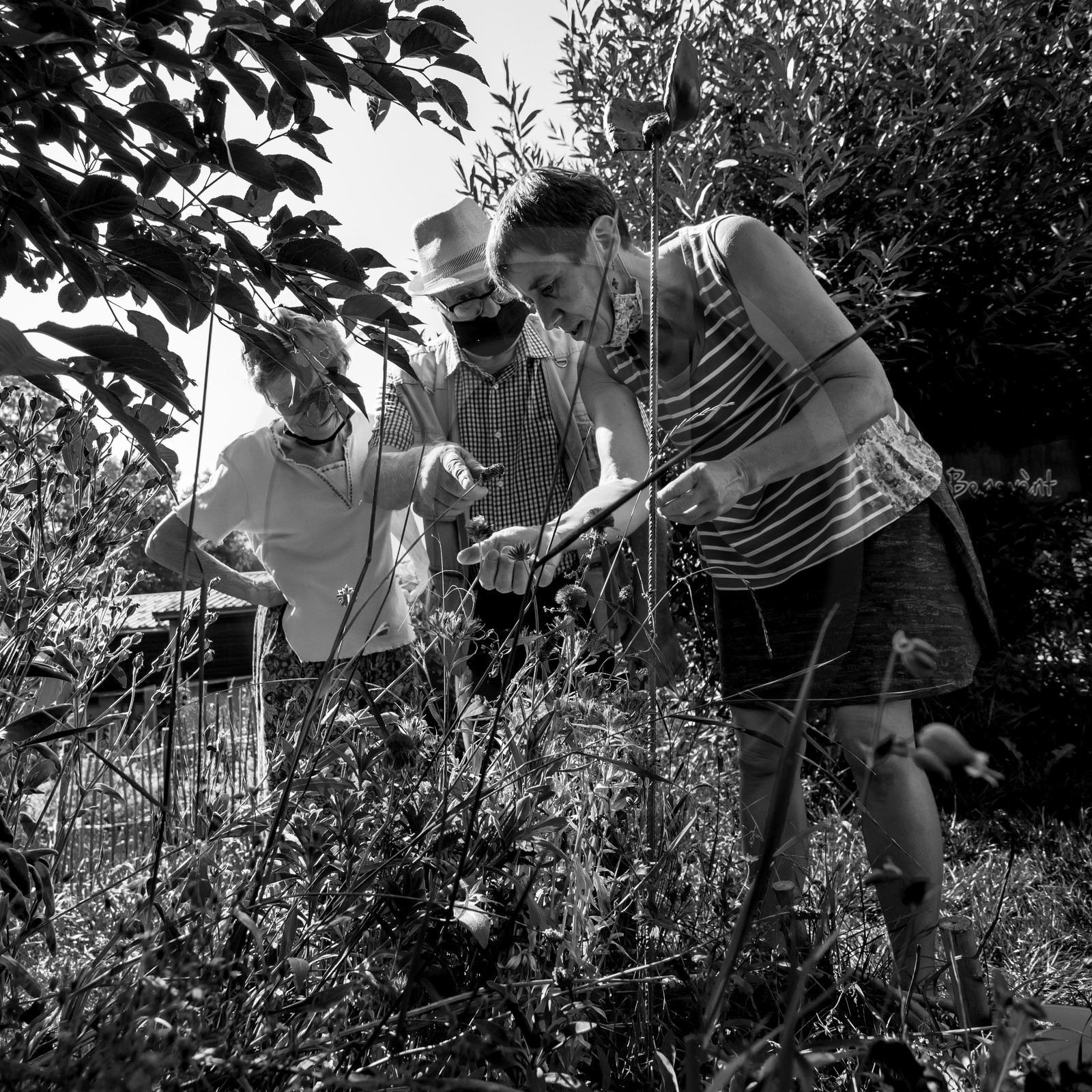 16 août 2021 : Journée des aidants