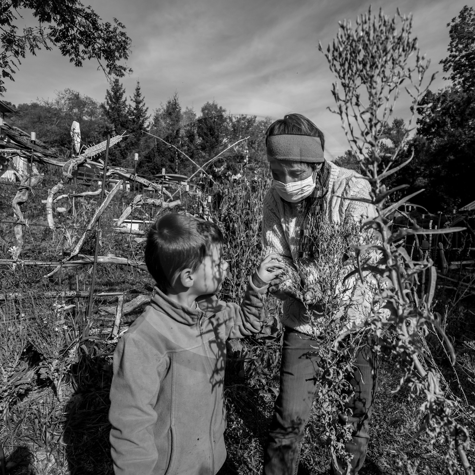 Semis, tournesols et jeux