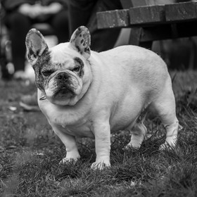 02 avril 2025 : c'est la reprise à l'Ouort