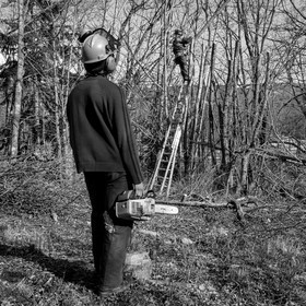 Elagage - 08 03 2017