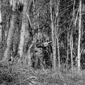 Elagage - 08 03 2017