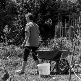 30 juin 2021 : Jardinage, jeux de cartes, masques