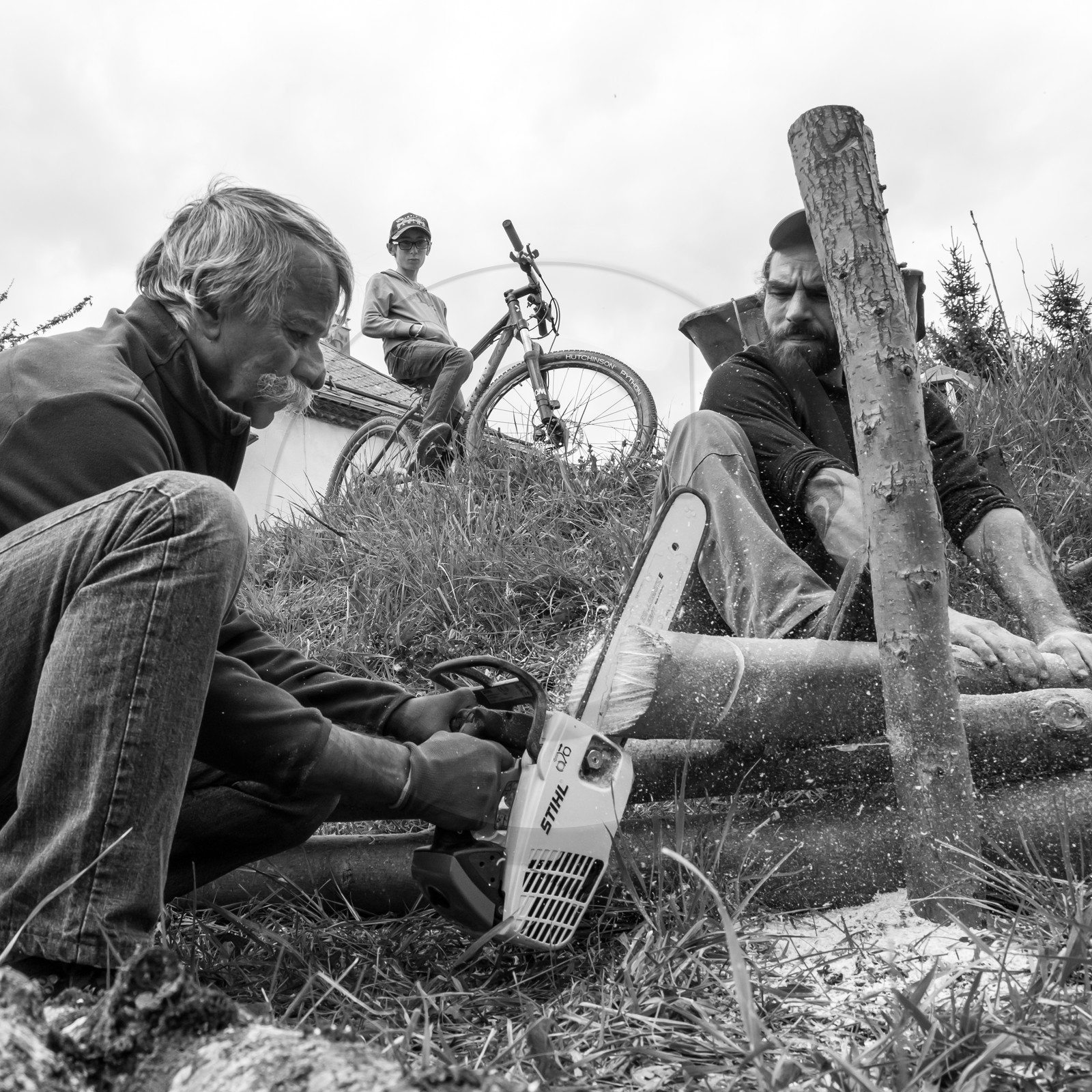 03 mai 2017 - Bac, semis et plantations