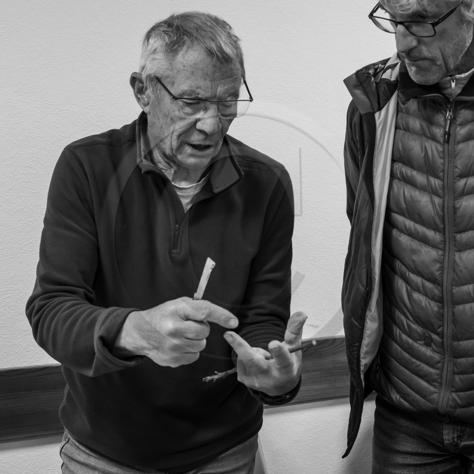 03 avril 2019 : Initiation à la greffe d'arbres fruitiers