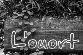 21 juin 2023 : Découverte botanique