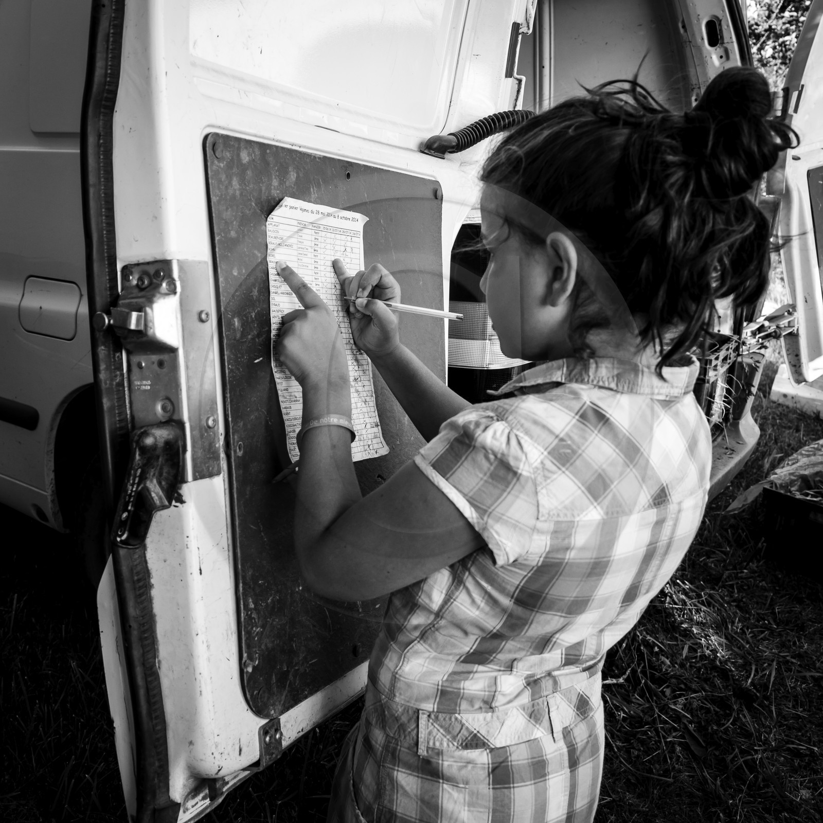 Distribution à l'AMAP du Champsaur