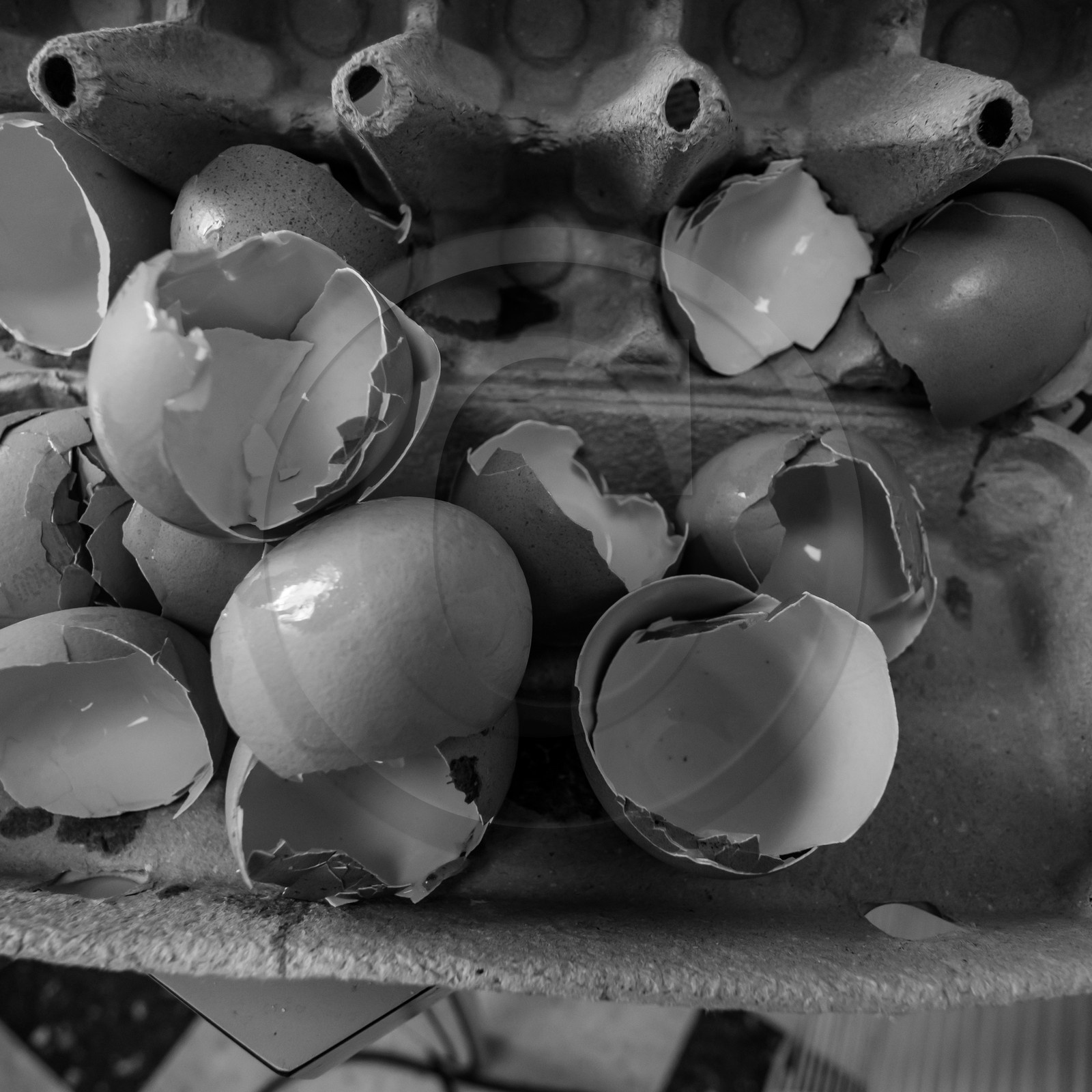 10 novembre 2021 : Une réunion et des crêpes