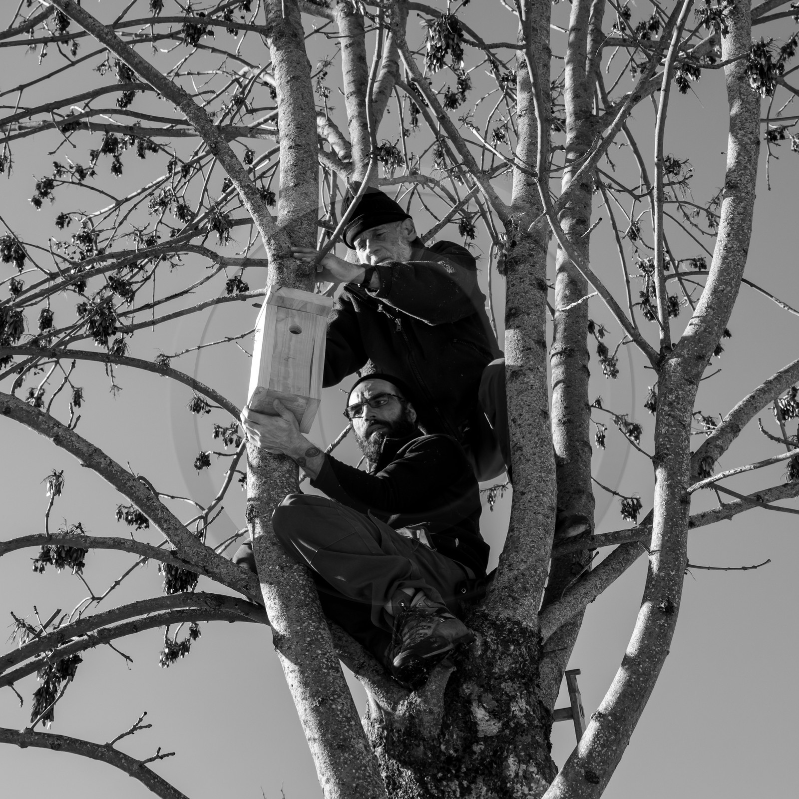 06 février 2019 : la pose des nichoirs