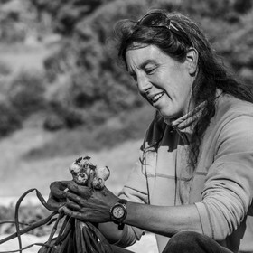 Maraichage biologique dans le Champsaur