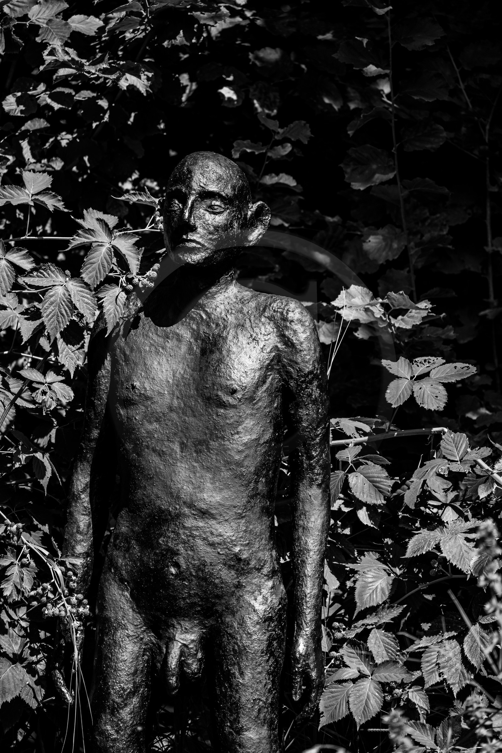 Exposition La forêt d'hommes, une création de Barbara Fougnon, artiste plasticienne