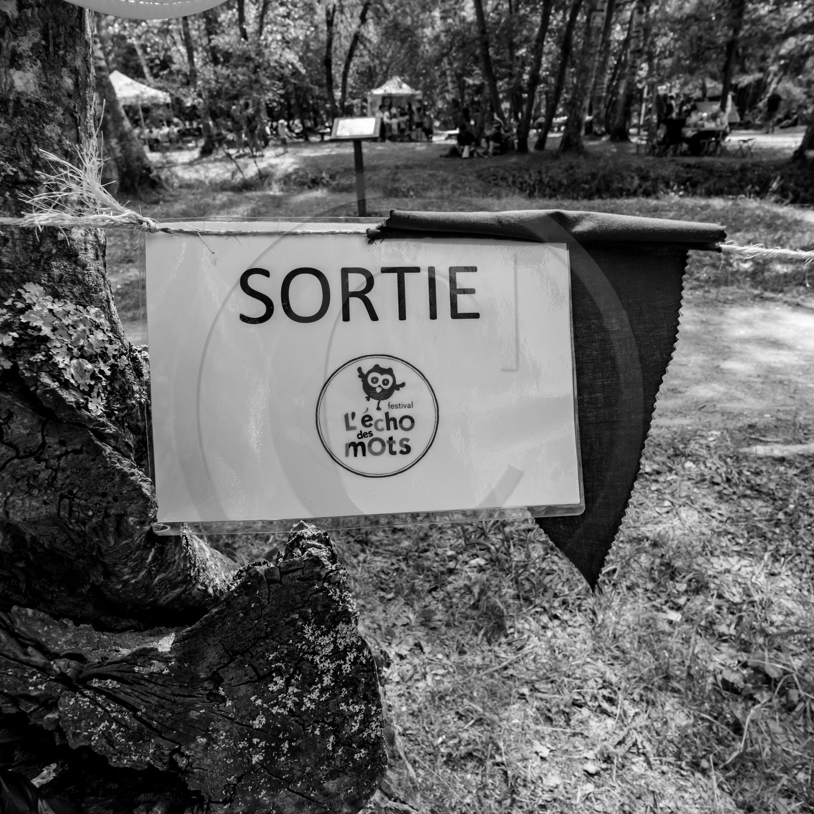 11, 12 et 13 août 2021 : L'Echo des Mots