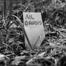 01 mai 2024 : chants, laine et jardinage