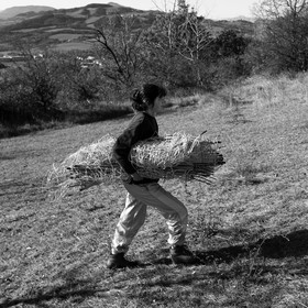 Des moutons et des parcs