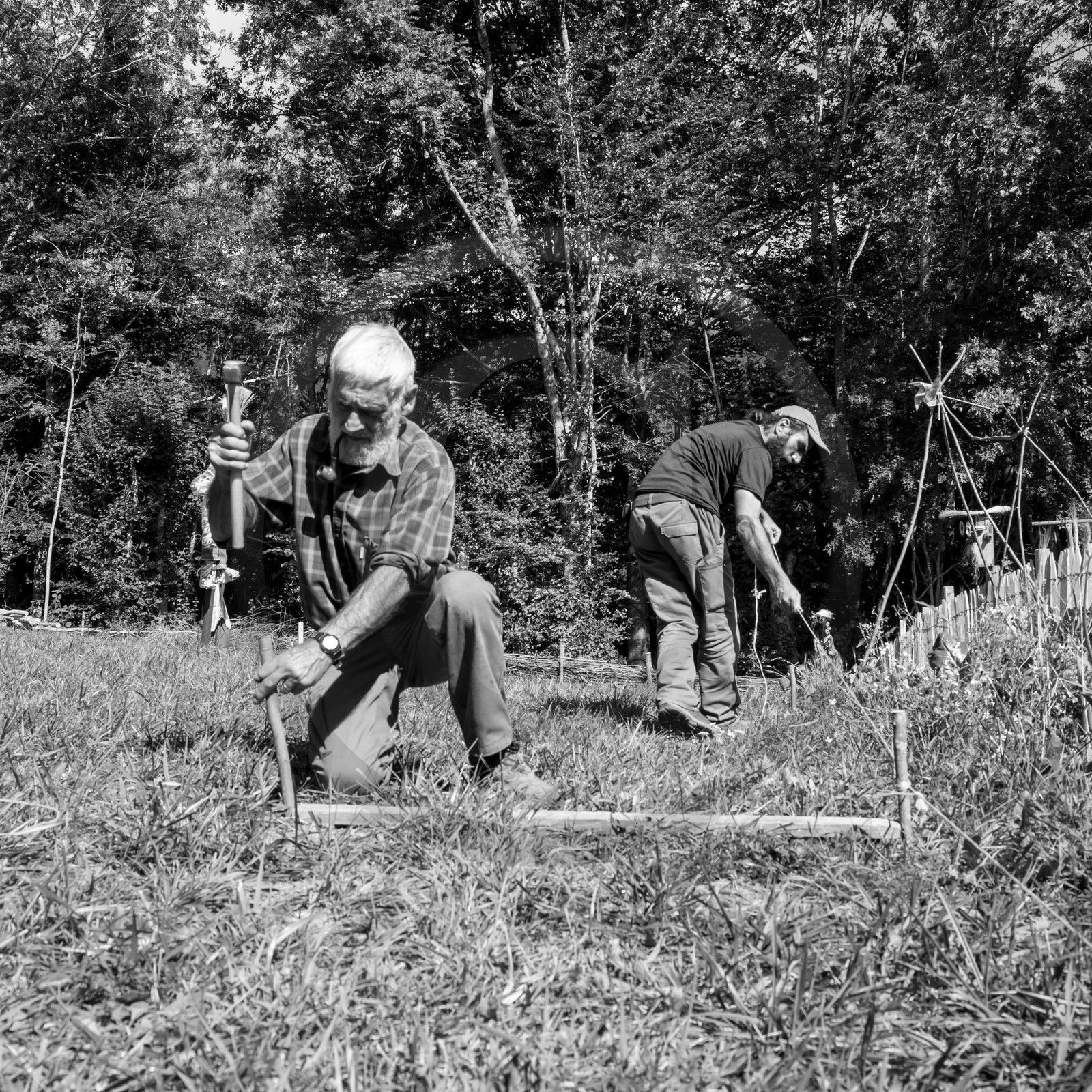13 septembre 2017 - Chemins - Graines