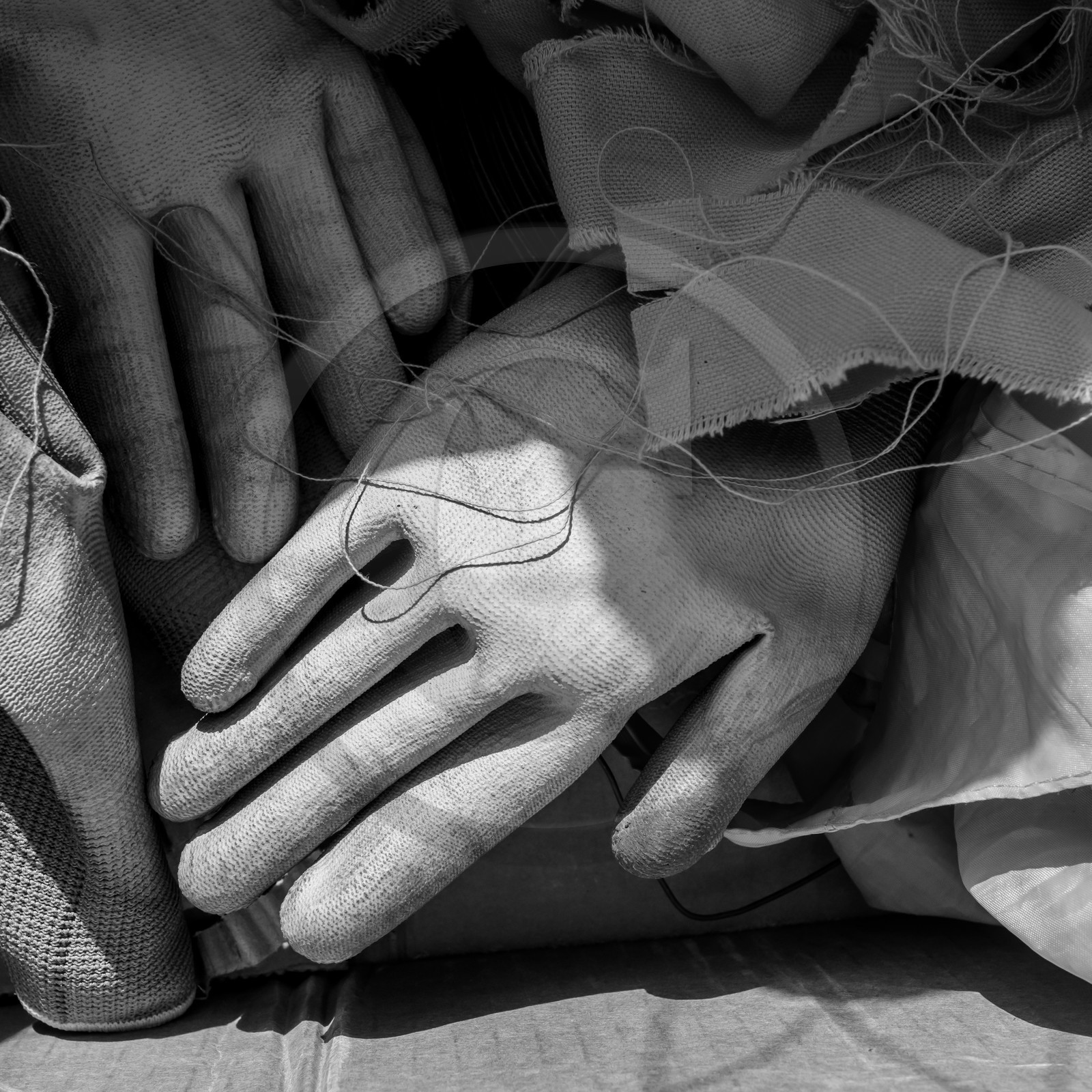 Semis, tournesols et jeux