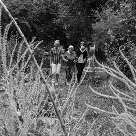 Promenades au jardin