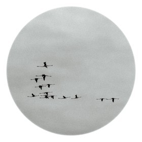 Les instants Camargue