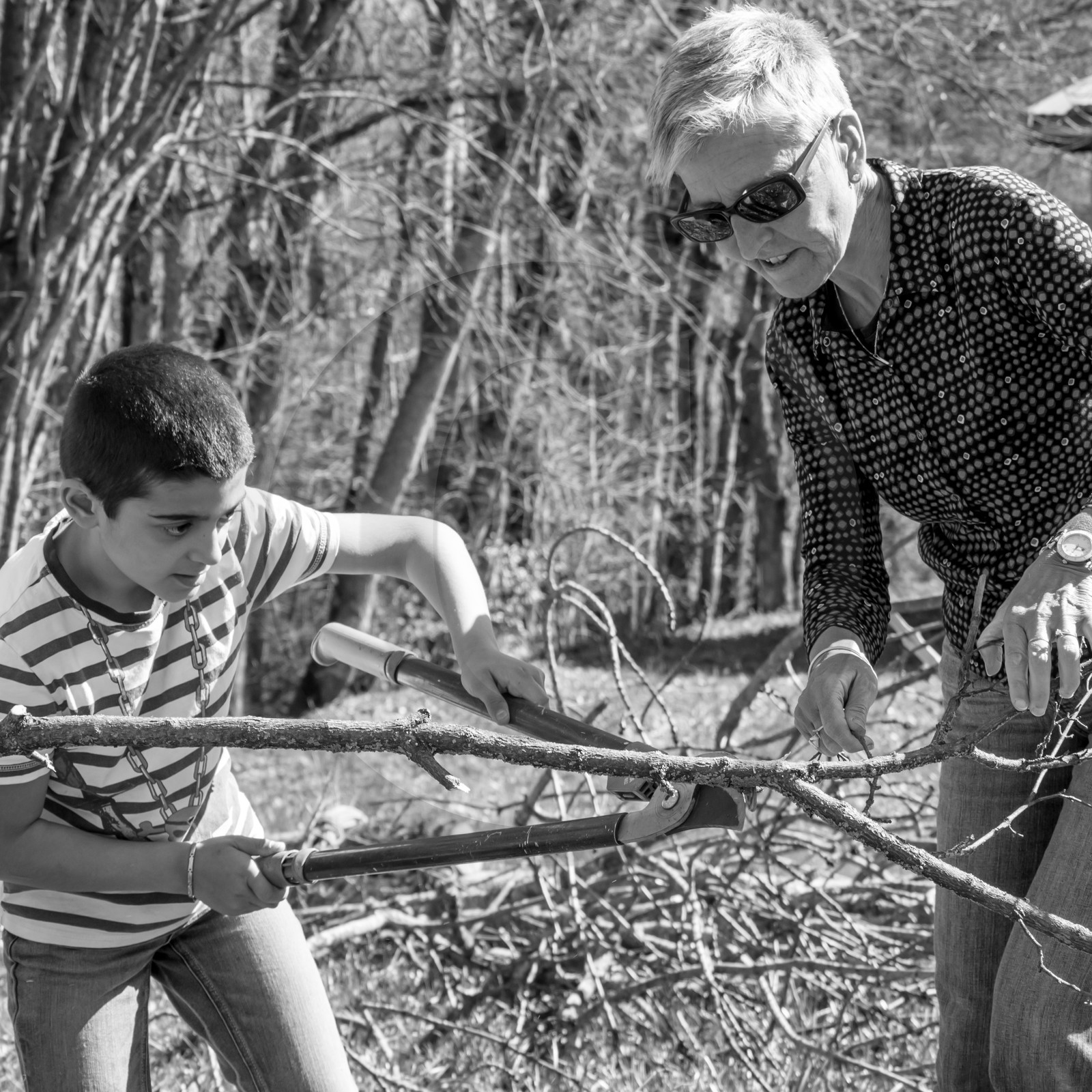 Nettoyage du terrain - Coupe du bois - 29 03 17