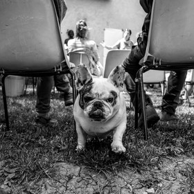 03 juillet 2024 : Création participative de L'homme de l'Ouort avec Barbara Fougnon, artiste plasticienne