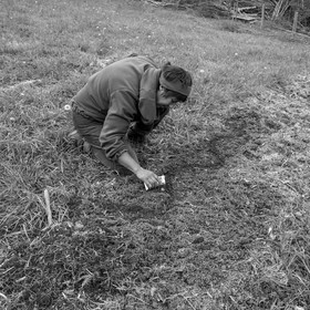 03 mai 2017 - Bac, semis et plantations