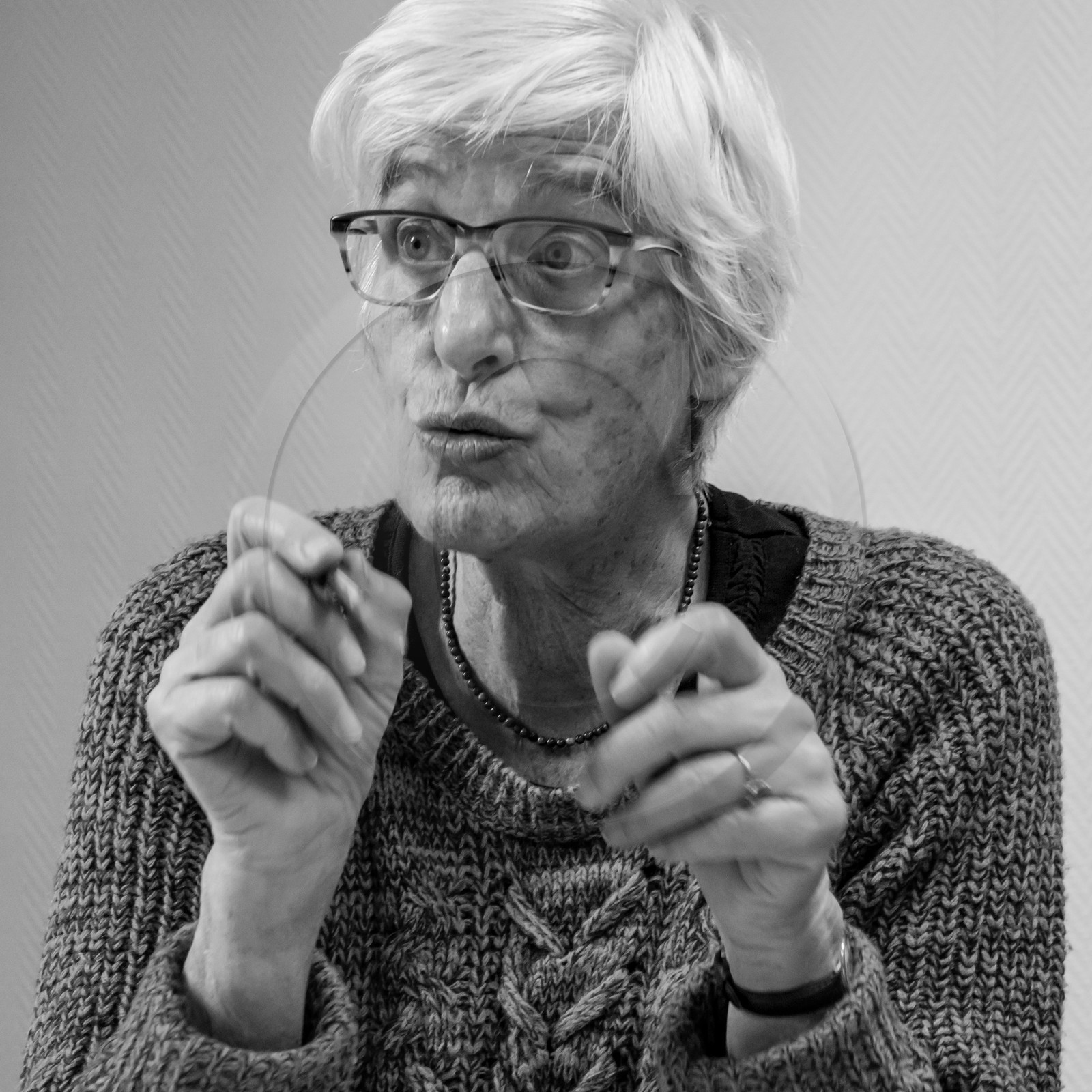 L'Ouort de Bénévent - 27 janvier 2017