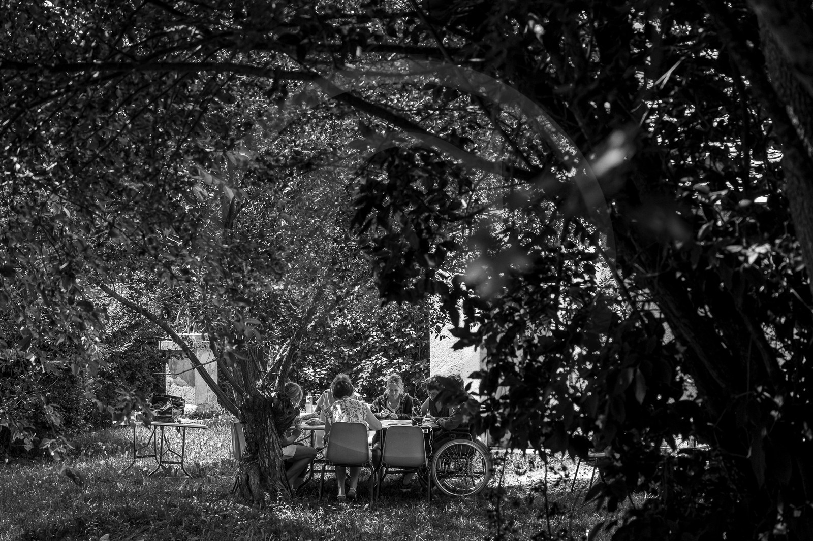 26 juin 2023 : journée des aidants et des aidés