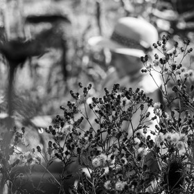 Séance de sophrologie à l'Ouort de Benevènt le 08 10 2020