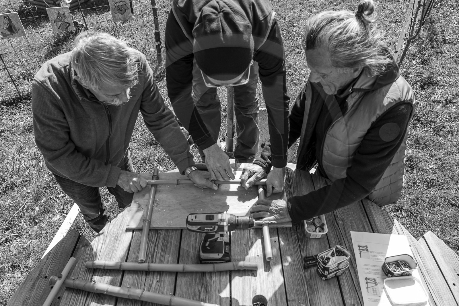 10 avril 2024 : Osier, laine et taille