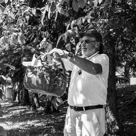 29 juin 2022 : Découverte des plantes sauvages