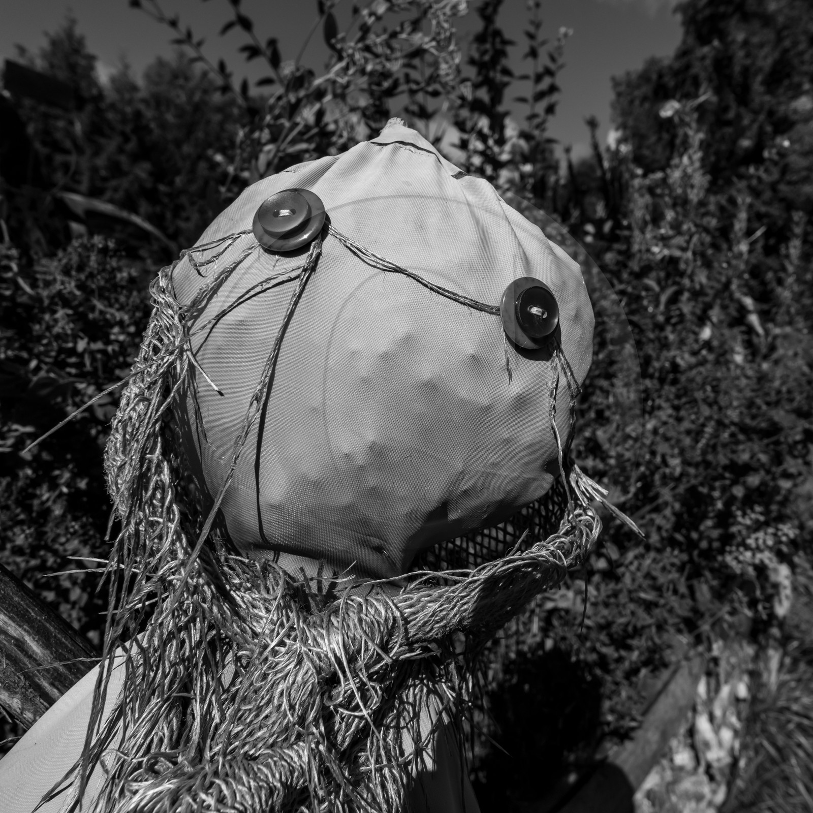 06 octobre 2021 : des contes et des pompons