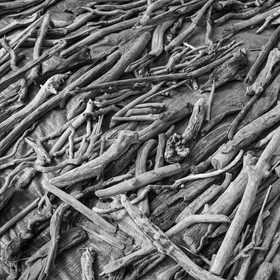 15 août 2019 : au festival l'Echo des Mots