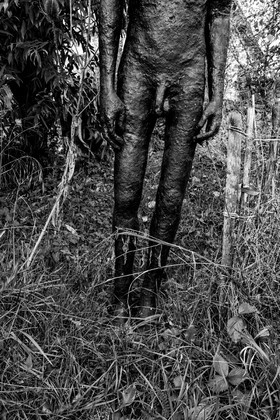 Exposition La forêt d'hommes, une création de Barbara Fougnon, artiste plasticienne