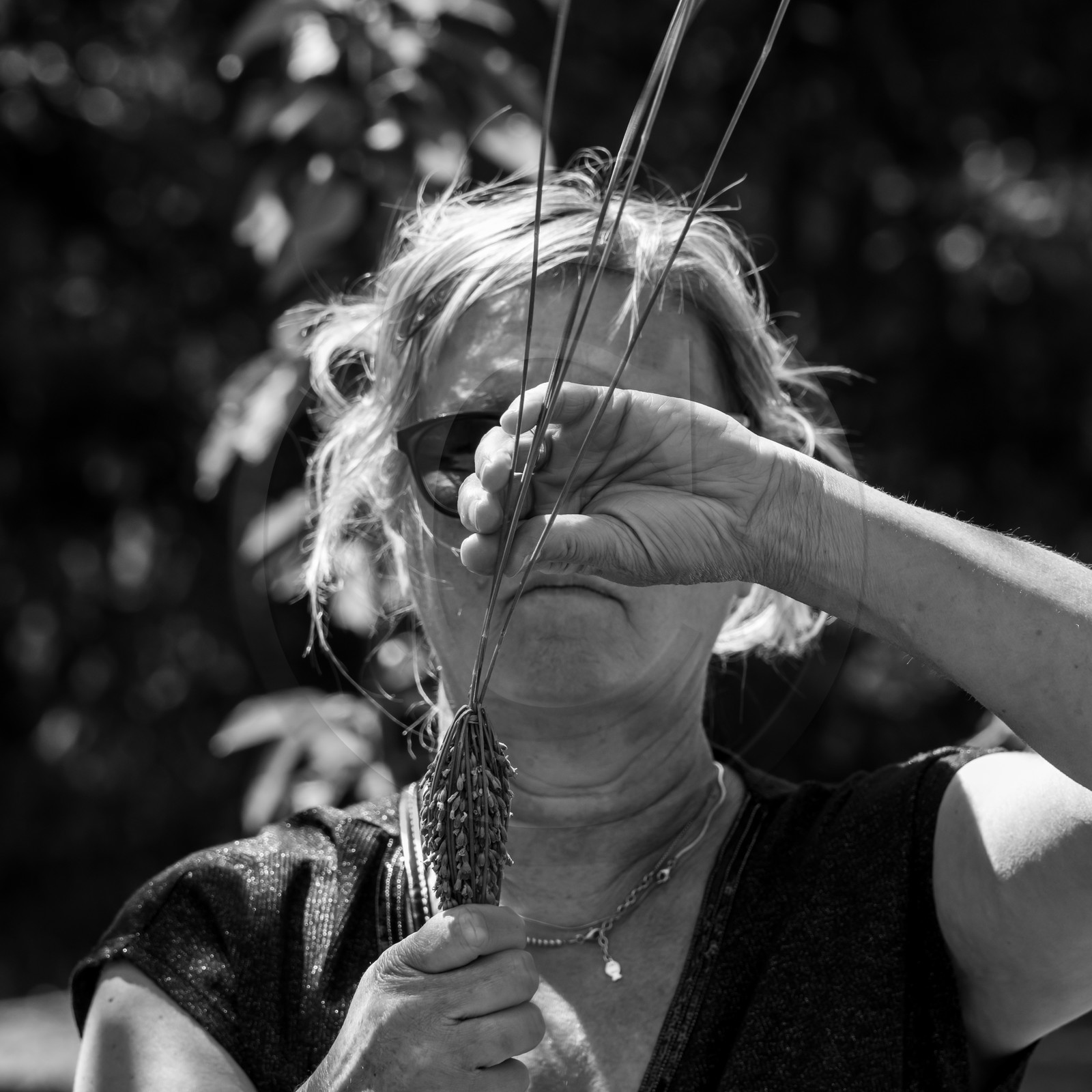 Atelier Fuseaux de lavande