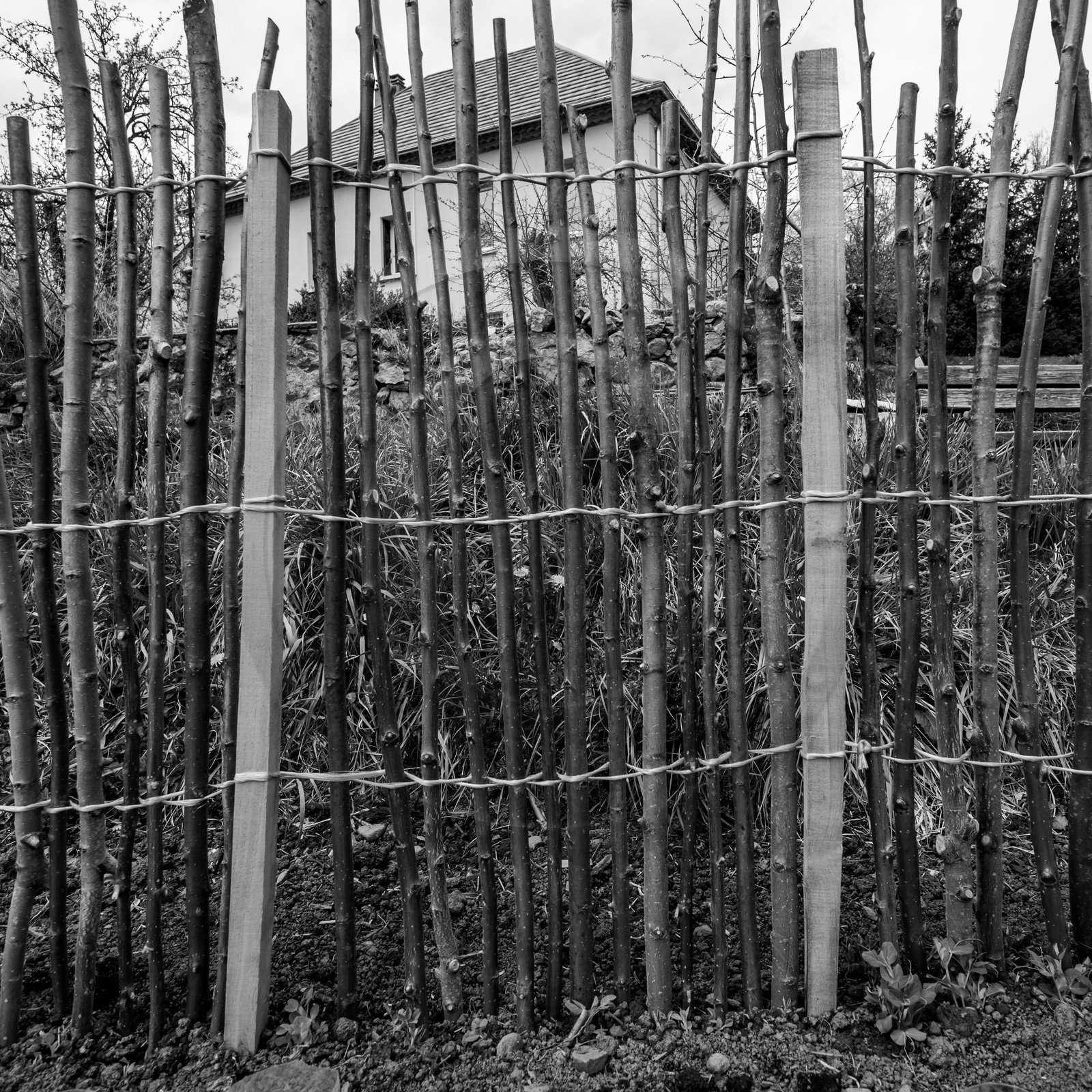 21 avril : jardinage, collages, peinture