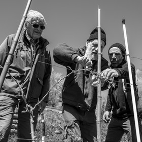 10 avril 2024 : Osier, laine et taille