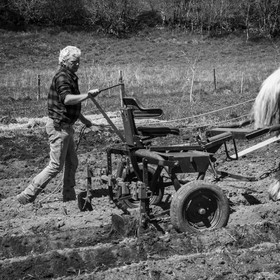 Labour avec un cheval