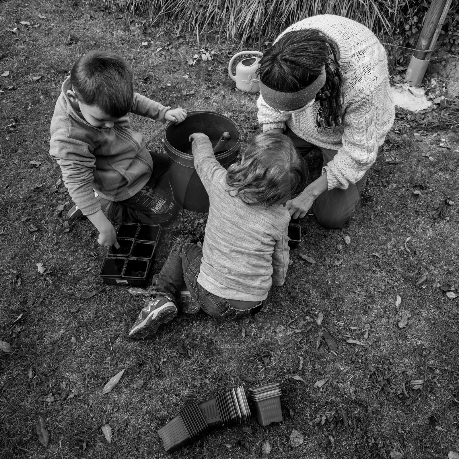 Semis, tournesols et jeux