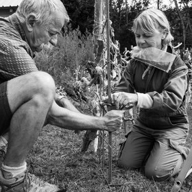 21 août 2019 : installation d'une oeuvre en bois flotté